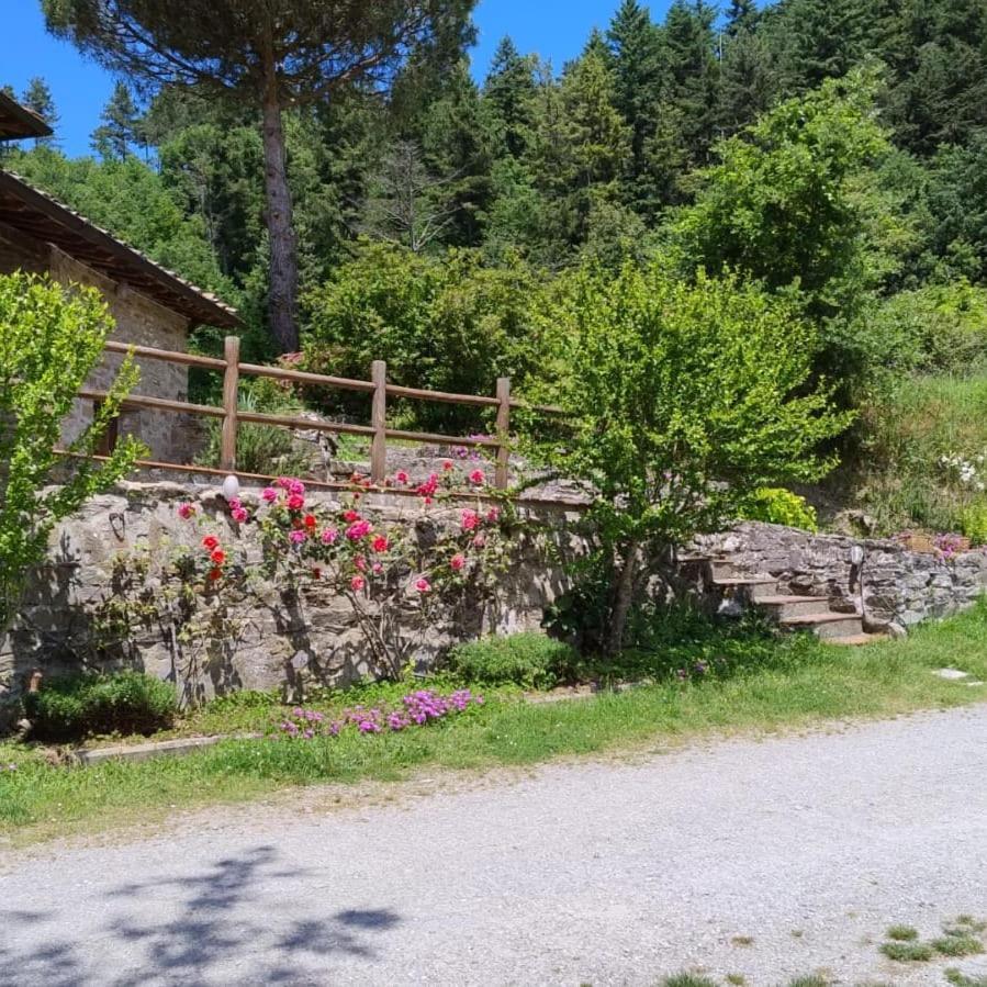 Fattoria Di Cintoia Βίλα Pontassieve Εξωτερικό φωτογραφία