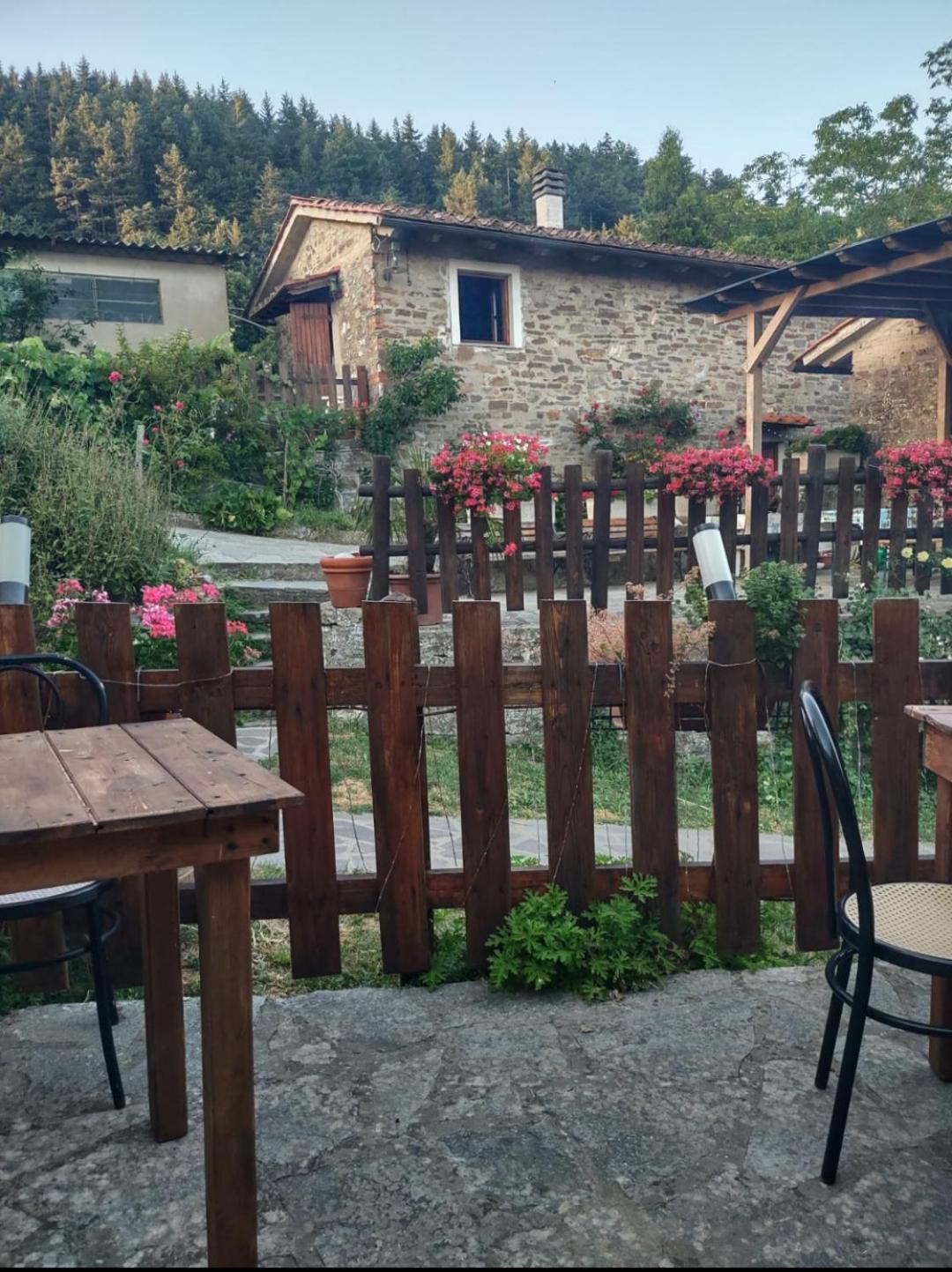 Fattoria Di Cintoia Βίλα Pontassieve Εξωτερικό φωτογραφία