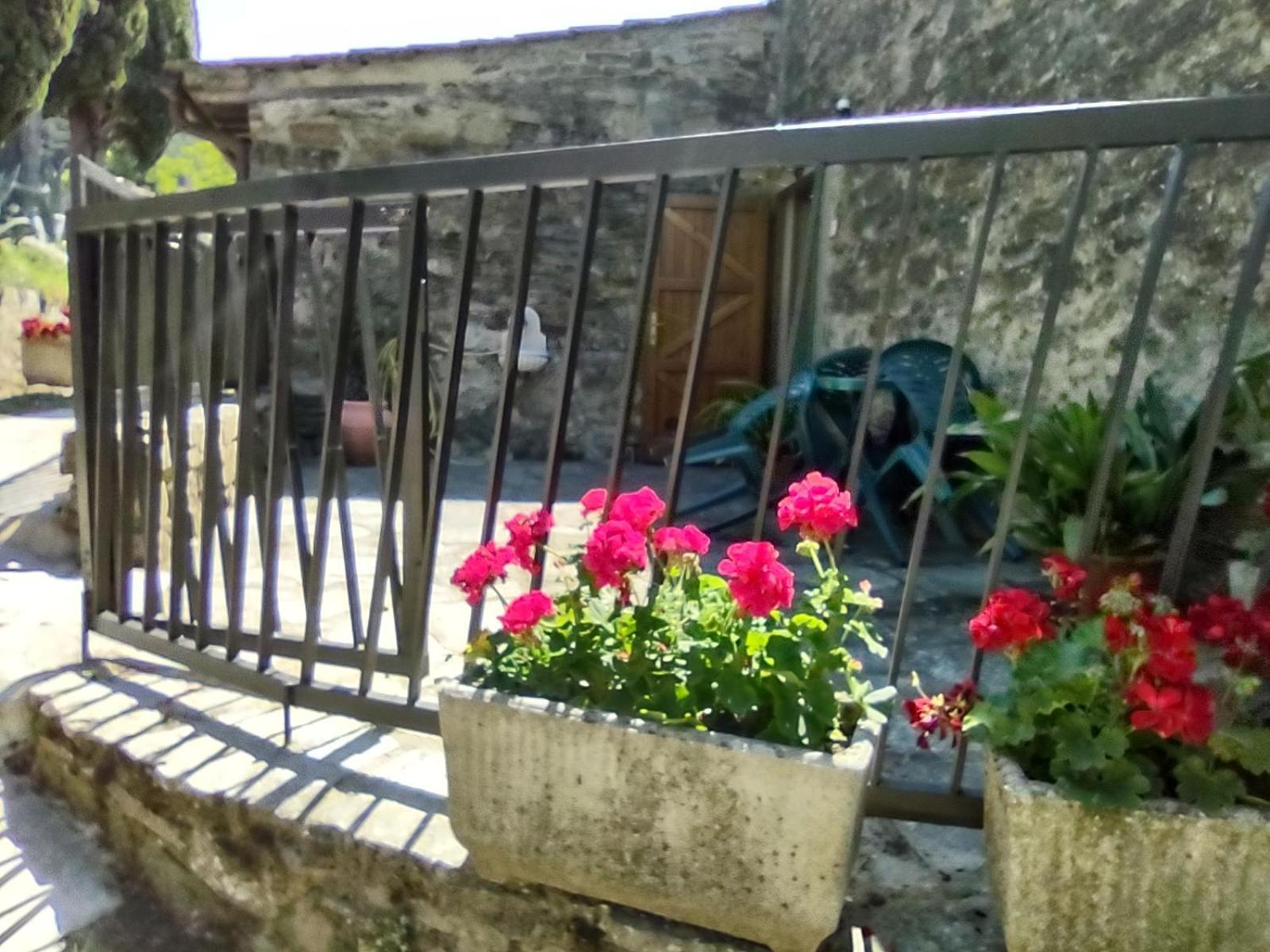 Fattoria Di Cintoia Βίλα Pontassieve Εξωτερικό φωτογραφία