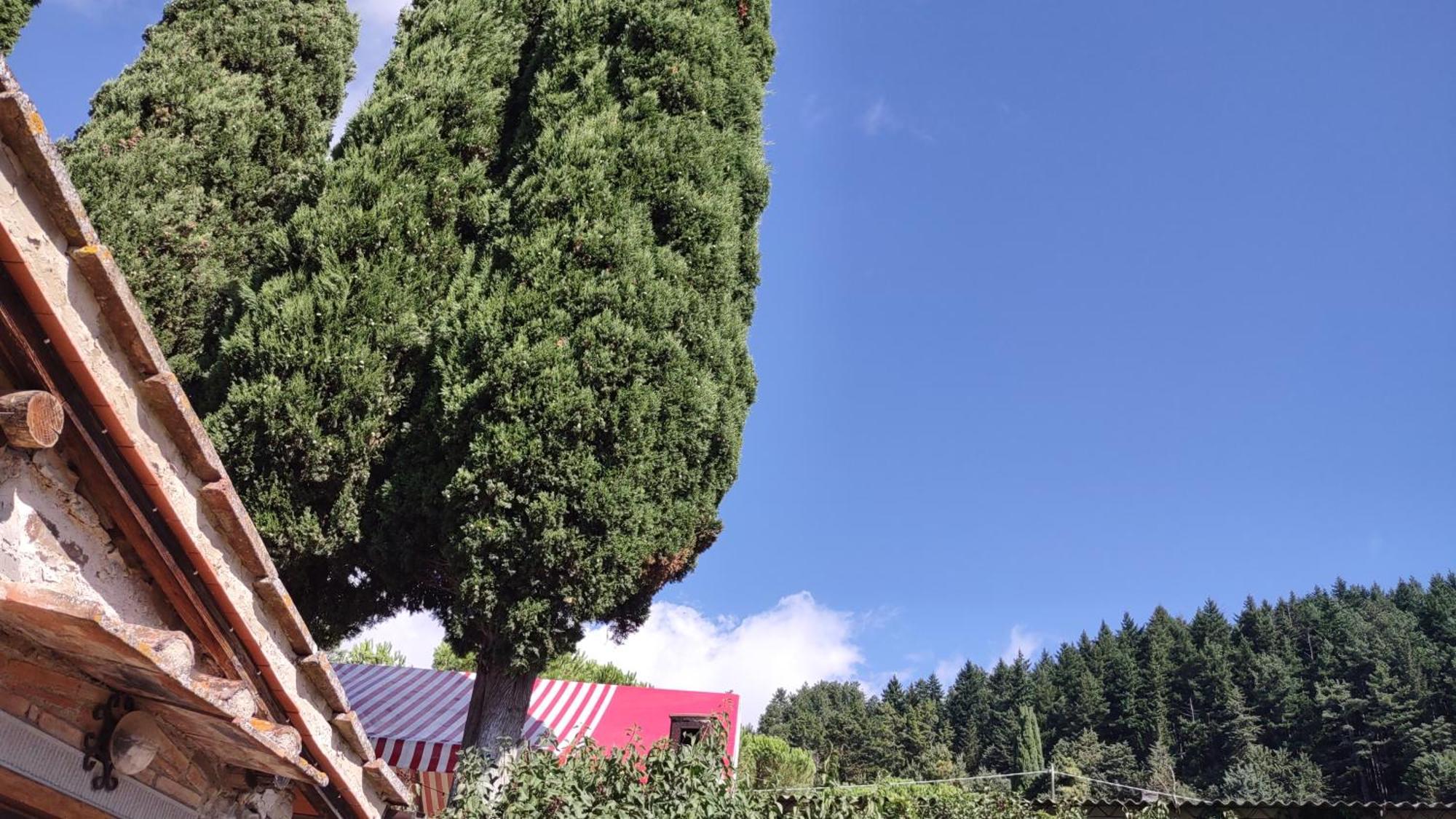Fattoria Di Cintoia Βίλα Pontassieve Εξωτερικό φωτογραφία
