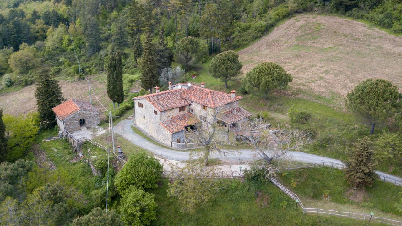 Fattoria Di Cintoia Βίλα Pontassieve Εξωτερικό φωτογραφία