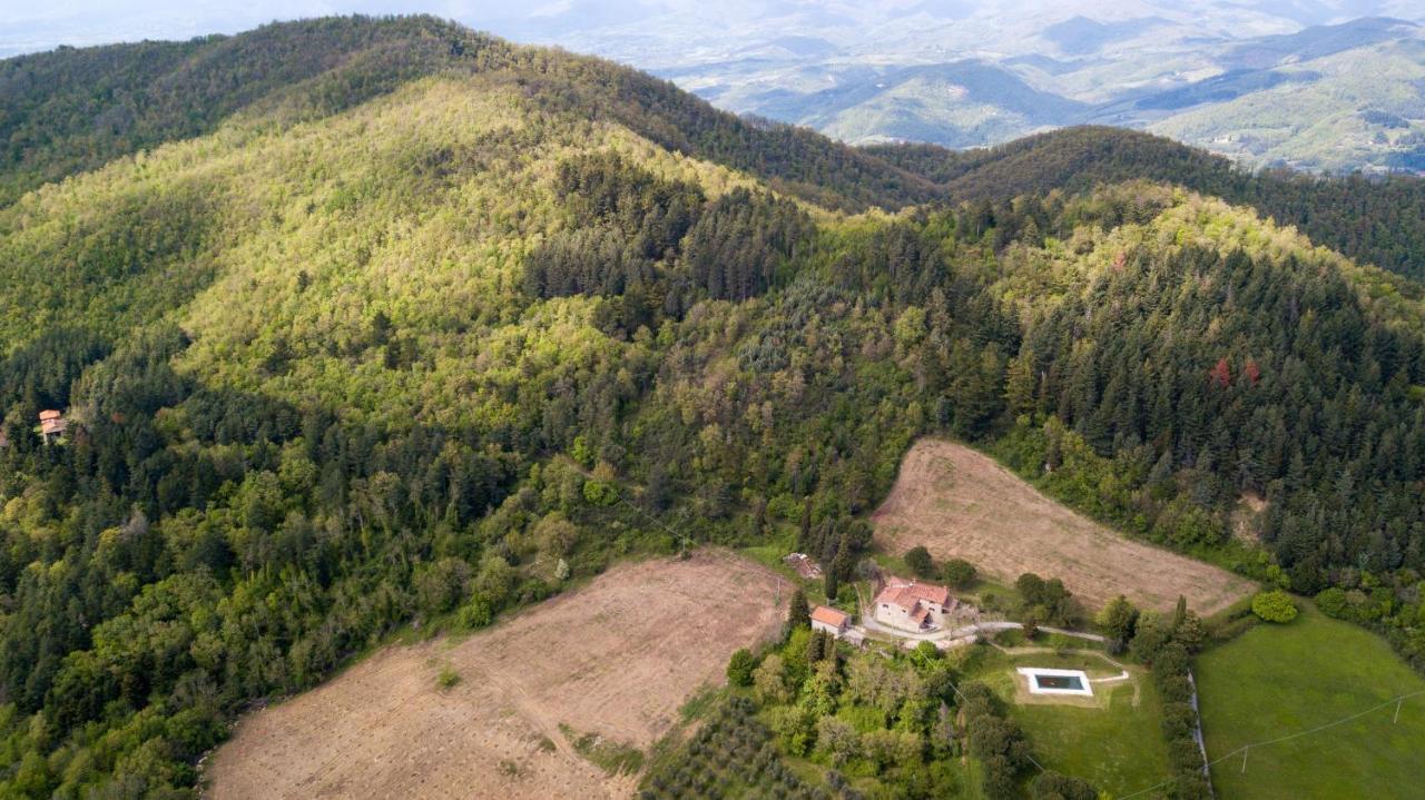Fattoria Di Cintoia Βίλα Pontassieve Εξωτερικό φωτογραφία