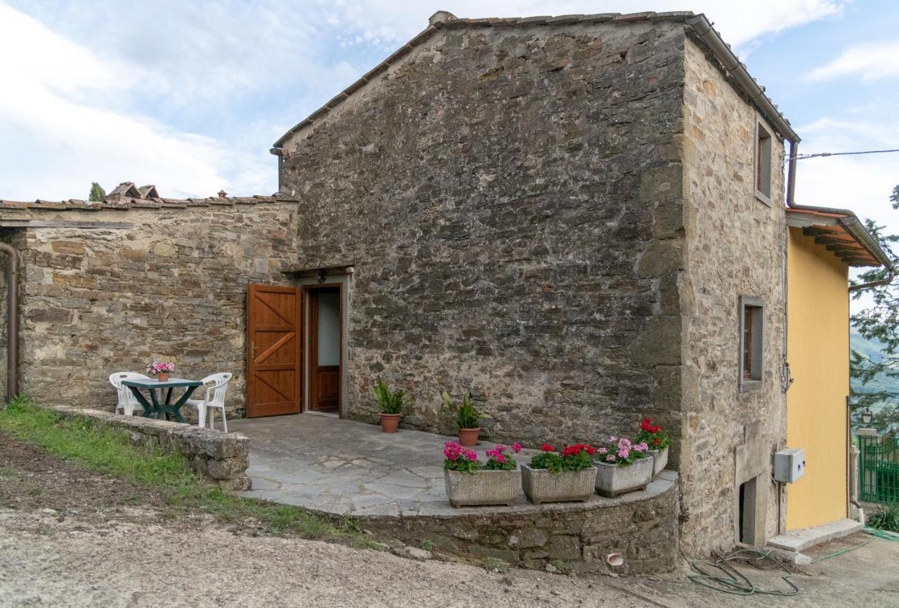 Fattoria Di Cintoia Βίλα Pontassieve Εξωτερικό φωτογραφία