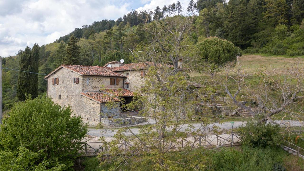 Fattoria Di Cintoia Βίλα Pontassieve Εξωτερικό φωτογραφία